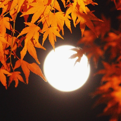 燈火月微明